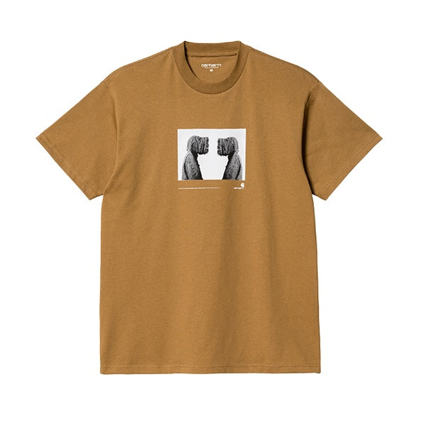 Carhartt WIP SS Cold T shirt Hamilton Brown